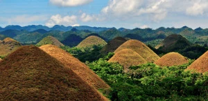 brown grassy hills